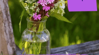 Photo of Картинки Доброе утро 19 апреля