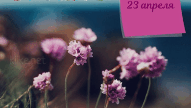 Photo of Доброе утро 23 апреля — картинки