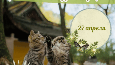 Photo of Картинки Доброе утро 27 апреля