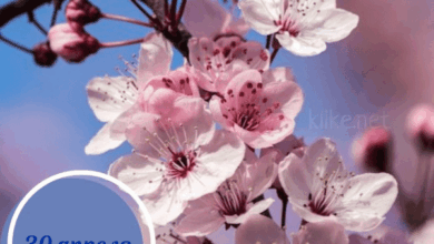 Photo of Доброе утро 30 апреля — картинки