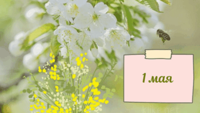 Photo of Доброе утро 1 мая — картинки