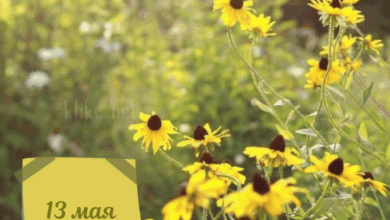 Photo of Доброе утро 13 мая — картинки