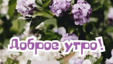 Photo of Доброе утро 21 мая — картинки