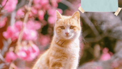 Photo of Картинки Доброе утро 22 мая