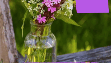 Photo of Доброе утро 23 мая — картинки