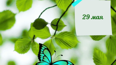 Photo of Картинки Доброе утро 29 мая