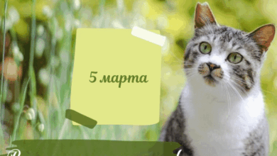Photo of Доброе утро 5 марта — картинки