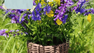 Photo of Картинки Доброе утро 7 марта