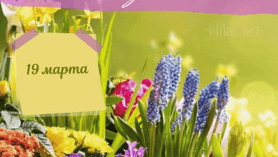 Photo of Картинки Доброе утро 19 марта