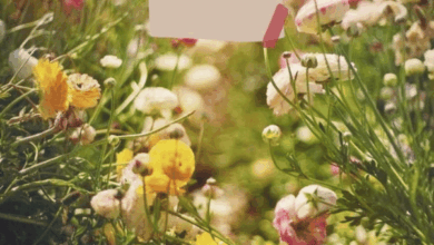 Photo of Доброе утро 25 марта — картинки