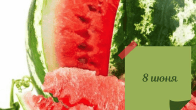 Photo of Доброе утро 8 июня — картинки