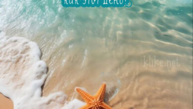 Photo of Картинки Доброе летнее утро понедельника: Чудесные открытки