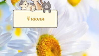 Photo of Картинки Доброе утро 4 июля