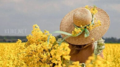 Photo of Картинки Доброе утро 7 июля