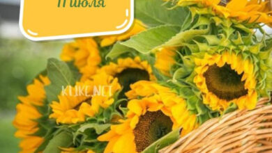 Photo of Доброе утро 11 июля — картинки