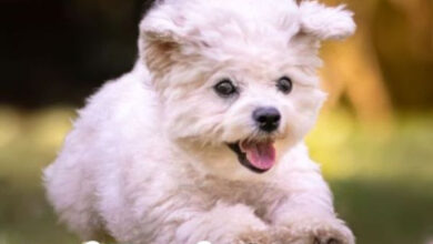 Photo of Картинки Доброе утро 16 июля