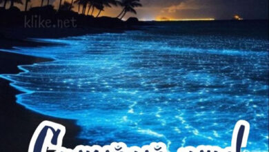 Photo of Картинки на 7 июня с пожеланиями