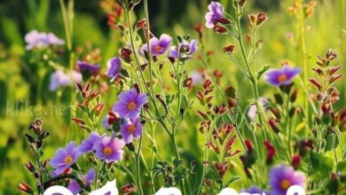 Photo of Картинки на 13 июня с пожеланиями