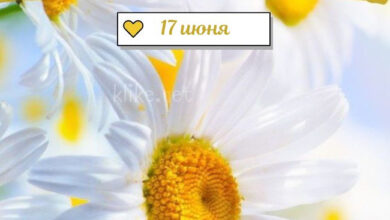 Photo of Картинки на 17 июня с пожеланиями