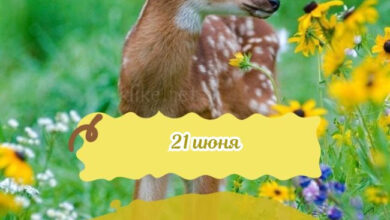 Photo of Картинки на 21 июня с пожеланиями