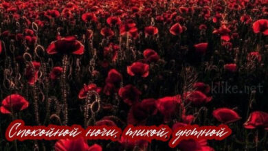 Photo of Картинки на 21 июля с пожеланиями