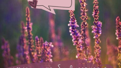 Photo of Картинки на 28 июля с пожеланиями