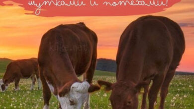 Photo of Картинки с пожеланиями на 7 августа: Позитивные открытки