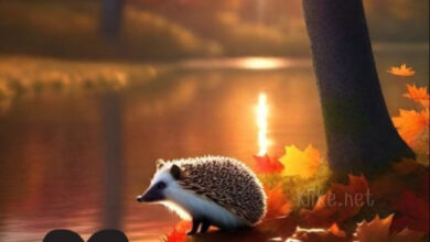 Photo of Картинки на 2 сентября с пожеланиями