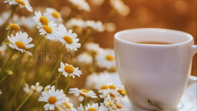 Photo of Доброе августовское утро воскресенья — картинки