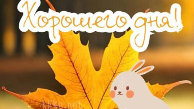 Photo of Картинки на 5 октября с пожеланиями