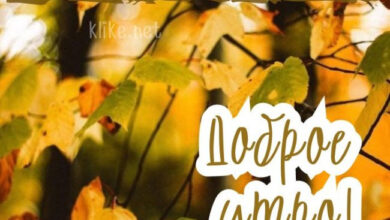 Photo of Картинки с пожеланиями на 24 октября: Успешные открытки