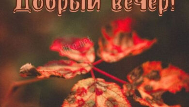 Photo of Картинки на 31 октября с пожеланиями