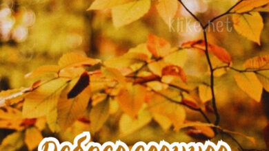 Photo of Доброе осеннее утро четверга — картинки