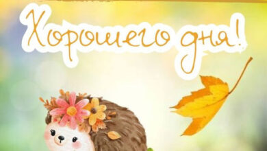 Photo of Картинки на 15 ноября с пожеланиями