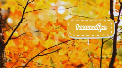 Photo of Доброе утро 1 сентября — картинки