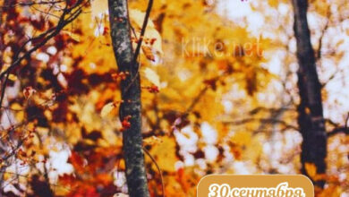 Photo of Доброе утро 30 сентября — картинки