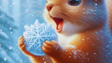 Photo of Доброе утро 13 декабря — картинки