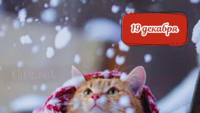 Photo of Картинки Доброе утро 19 декабря