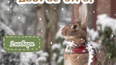 Photo of Картинки Доброе утро 2 января