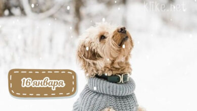 Photo of Доброе утро 16 января — картинки
