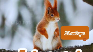 Photo of Картинки Доброе утро 29 января