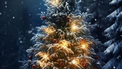 Photo of Картинки на 19 декабря с пожеланиями