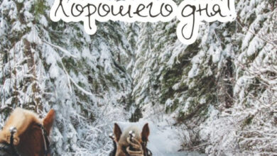Photo of Картинки на 3 января с пожеланиями