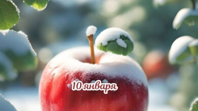 Photo of Картинки на 10 января с пожеланиями