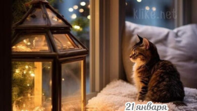Photo of Картинки на 21 января с пожеланиями