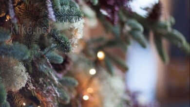 Photo of Картинки на 24 января с пожеланиями