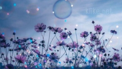 Photo of Картинки на 2 мая с пожеланиями