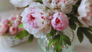 Photo of Картинки на 31 мая с пожеланиями