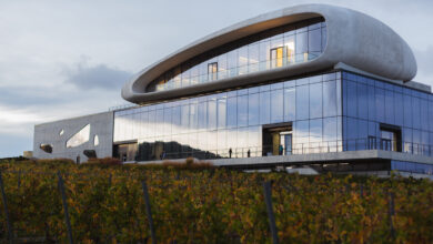 Photo of Французский замок и дегустация под звездами: 5 виноделен, которые стоит посетить в Краснодарском крае