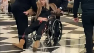 Photo of Звезду “Американского пирога” Тару Рид госпитализировали: она утверждает, что ее отравили